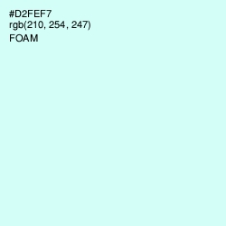 #D2FEF7 - Foam Color Image