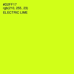 #D2FF17 - Electric Lime Color Image