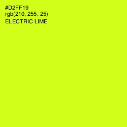 #D2FF19 - Electric Lime Color Image