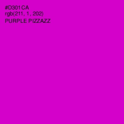 #D301CA - Purple Pizzazz Color Image