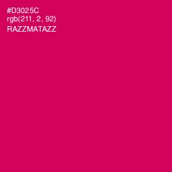 #D3025C - Razzmatazz Color Image