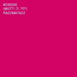 #D30365 - Razzmatazz Color Image