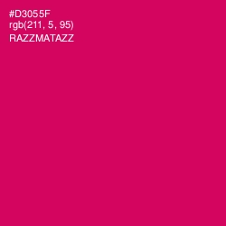 #D3055F - Razzmatazz Color Image