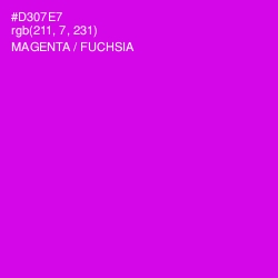 #D307E7 - Magenta / Fuchsia Color Image