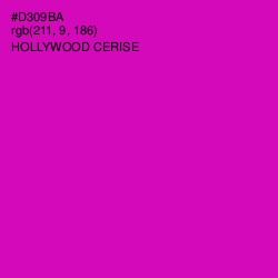 #D309BA - Hollywood Cerise Color Image