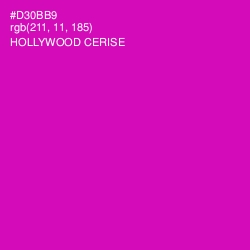 #D30BB9 - Hollywood Cerise Color Image