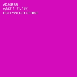 #D30BBB - Hollywood Cerise Color Image