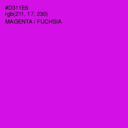 #D311E6 - Magenta / Fuchsia Color Image