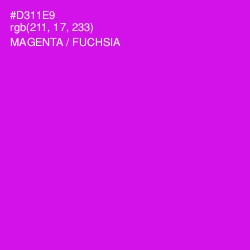 #D311E9 - Magenta / Fuchsia Color Image