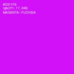 #D311F9 - Magenta / Fuchsia Color Image