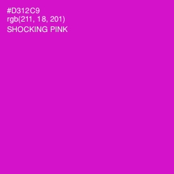 #D312C9 - Shocking Pink Color Image