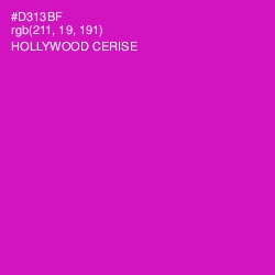 #D313BF - Hollywood Cerise Color Image