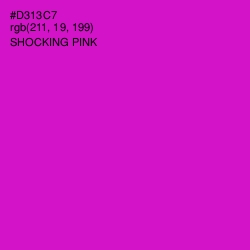 #D313C7 - Shocking Pink Color Image