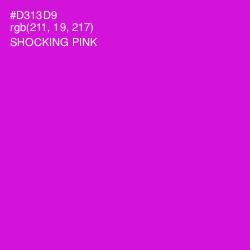 #D313D9 - Shocking Pink Color Image