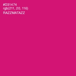 #D31474 - Razzmatazz Color Image