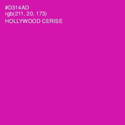 #D314AD - Hollywood Cerise Color Image