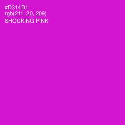 #D314D1 - Shocking Pink Color Image