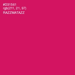 #D31561 - Razzmatazz Color Image