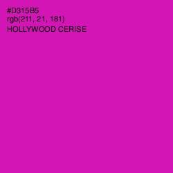 #D315B5 - Hollywood Cerise Color Image