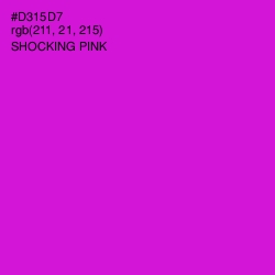 #D315D7 - Shocking Pink Color Image