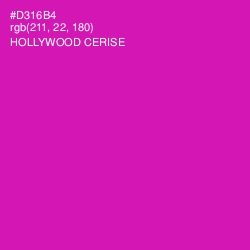 #D316B4 - Hollywood Cerise Color Image