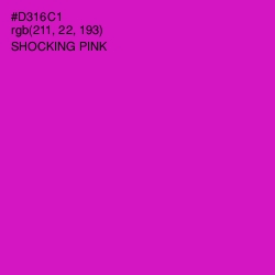 #D316C1 - Shocking Pink Color Image