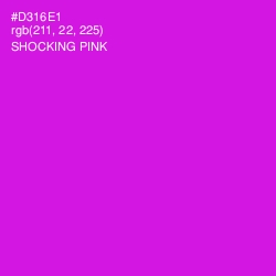 #D316E1 - Shocking Pink Color Image