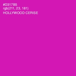 #D317B5 - Hollywood Cerise Color Image