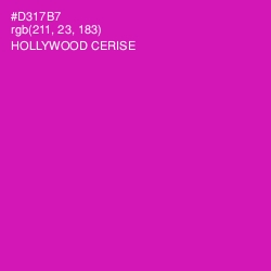 #D317B7 - Hollywood Cerise Color Image