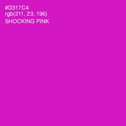 #D317C4 - Shocking Pink Color Image