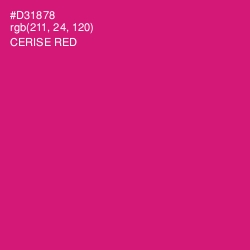 #D31878 - Cerise Red Color Image