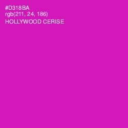 #D318BA - Hollywood Cerise Color Image