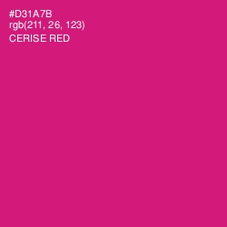 #D31A7B - Cerise Red Color Image