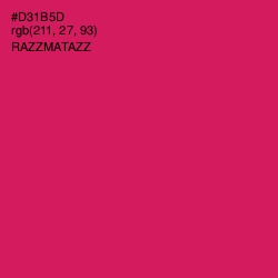 #D31B5D - Razzmatazz Color Image