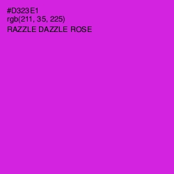 #D323E1 - Razzle Dazzle Rose Color Image