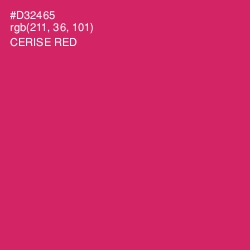 #D32465 - Cerise Red Color Image