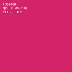 #D32469 - Cerise Red Color Image