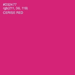 #D32477 - Cerise Red Color Image