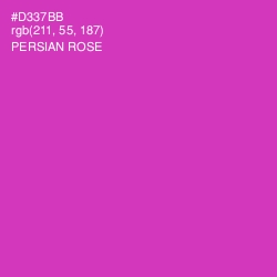 #D337BB - Persian Rose Color Image