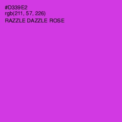 #D339E2 - Razzle Dazzle Rose Color Image