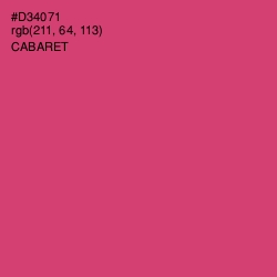 #D34071 - Cabaret Color Image