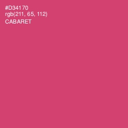 #D34170 - Cabaret Color Image