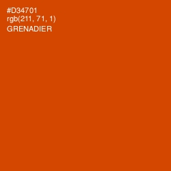 #D34701 - Grenadier Color Image