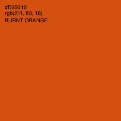 #D35010 - Burnt Orange Color Image