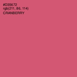 #D35672 - Cranberry Color Image