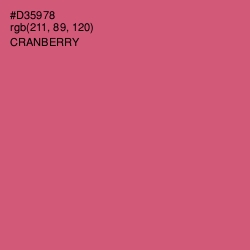 #D35978 - Cranberry Color Image
