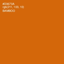 #D3670A - Bamboo Color Image