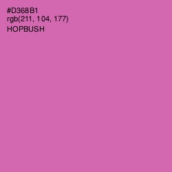 #D368B1 - Hopbush Color Image