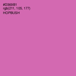 #D369B1 - Hopbush Color Image