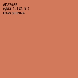 #D3795B - Raw Sienna Color Image